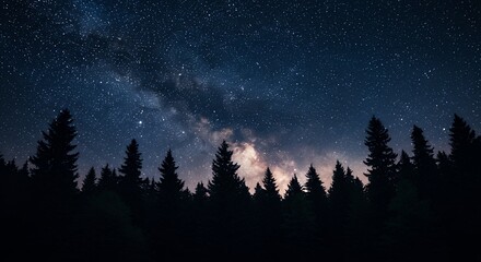 Fototapeta premium Night sky over forest