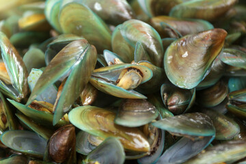 close up of fresh mussels