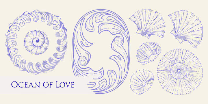 Elegant blue line art illustrations of seashells and ornate scrollwork on a cream background with text