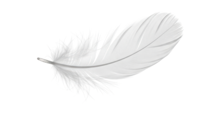 White feather with soft delicate texture floating isolated on a transparent background