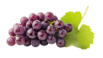 Fototapeta premium Freshly harvested cluster of dark purple grapes with a vibrant green grape leaf against background