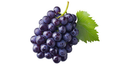 Fototapeta premium Freshly harvested dark purple grapes with a vibrant green leaf against a background