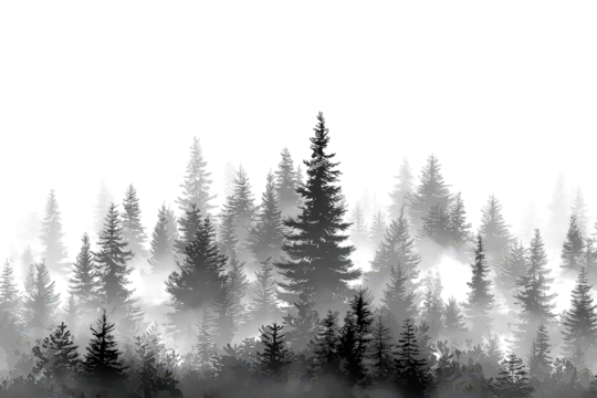 Monochrome Forest Silhouette with Misty Background - Powered by Adobe
