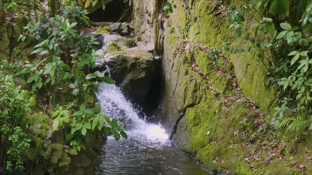 Experience the serene beauty of a cascading waterfall nestled within the vibrant, verdant rainforest of the Hawaii Tropical Botanical Garden. This footage captures the tranquil flow of water amidst lu