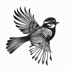 Fantail Bird Native to New Zealand Vector Art Isolated on White Background