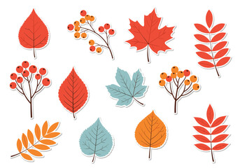 Obraz premium Collection of colorful autumn leaves and berry branches for seasonal decoration.