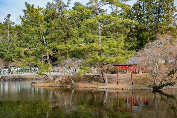 Torii gate reflected in lake amidst forest in Nara Park, Japan”