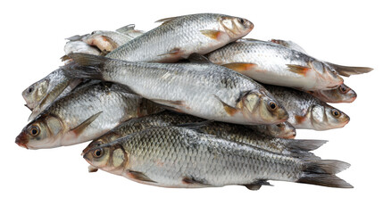 A pile of fresh silver fish stacked on top of each other on a black background close up view