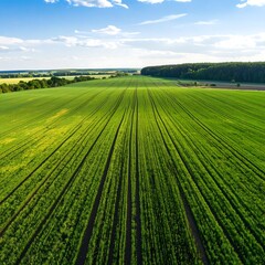 Aerial View of Farmland