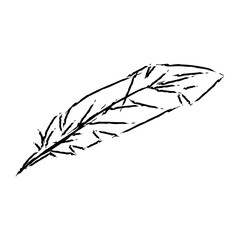 Feather Hand Drawn Halloween Illustration