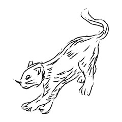 Black Cat Hand Drawn Halloween Illustration