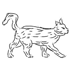 Creepy Cat Hand Drawn Halloween Illustration
