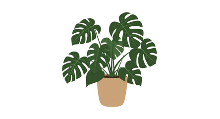 green plant in a pot