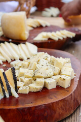 Gourmet Cheese Board and Charcuterie Platter