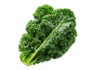 Vibrant green curly kale leaf isolated on black vegetable, Isolated, Png Transparent Background