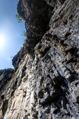 rock in the mountains