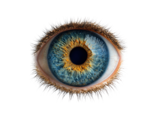 Vivid blue and amber iris detailed macro view with dark pupil and eyelashes image, Isolated, Png Transparent Background