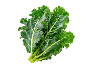 Vibrant green kale leaves with textured surfaces fresh healthy, Isolated, Png Transparent Background