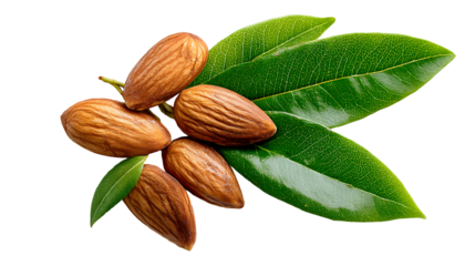 Almond nuts isolated on a wooden background. Almonds are a healthful food. Locally in Bangladesh, it is called Kath Badam.