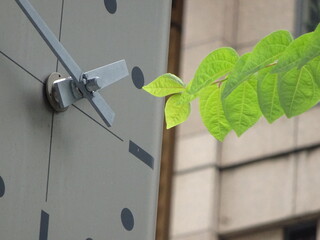 街頭の時計と緑