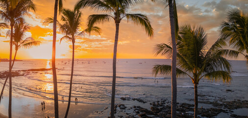 Tropical Beach Sunset Panorama with Palm Trees and Ocean in Tamarindo Costa Rica