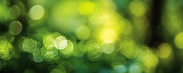 Abstract bokeh of foliage. Green and yellow spheres of light overlay an indistinct dark background
