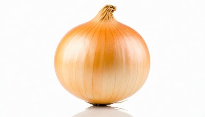 Chopping fresh onions for cooking kitchen food preparation indoor close-up culinary art