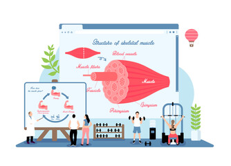 Vector illustrations with a fitness theme