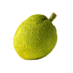 Close-up of a whole jackfruit, vibrant lime-green, bumpy skin, stem attached