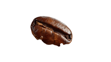 Falling Coffee Beans Flying in Mid Air on White Background