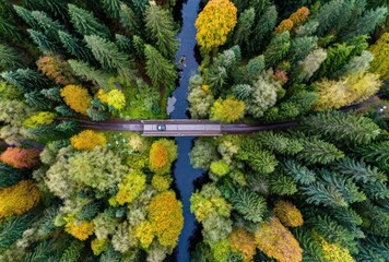 Forest river bisected by bridge with a passing vehicle, seen from above, displays vibrant autumn foliage in greens, yellows, and browns