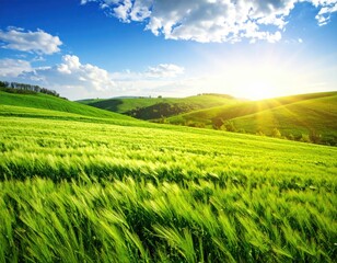 Green grassy field meets rolling hills under a bright, blue sky with scattered clouds and sunlight, radiating warmth and natural beauty