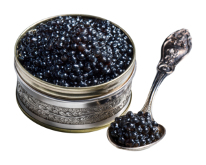 Luxury caviar tasting event upscale restaurant food isolated on transparent background