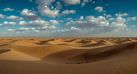 A vast expanse of golden desert dunes stretches to the horizon, sculpted by the wind.