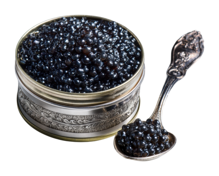 Luxury caviar tasting event upscale restaurant food isolated on transparent background