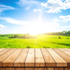 Wooden planks overlook a soft-focus grassy field under a sunny, bright, blue sky with fluffy white clouds. Scenic background
