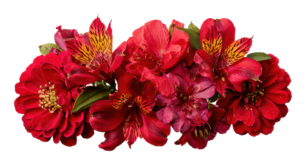 Vibrant red floral arrangement botanical garden isolated on transparent background