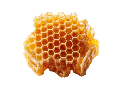 Golden hexagonal cells filled with sweet amber liquid honeycomb, Isolated, Png Transparent Background - Powered by Adobe