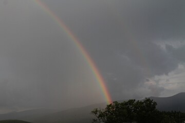 tęcza, makro, kolory © Paulina