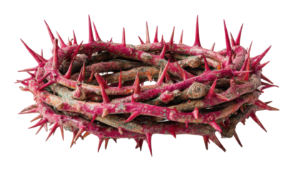 Thorny crown symbolizing suffering and sacrifice still life isolated on transparent background