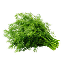 Fresh dill isolated on transparent White background png
