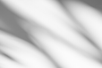 Wall interior background, studio and backdrops show products.with shadow from window color white and grey. background for text insertion and presentation product	
