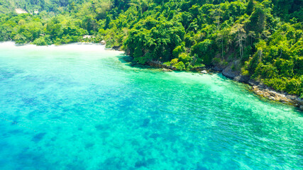 Aerial view of the dark green forest and the sea. Natural ecosystems of forests and oceans. concept...