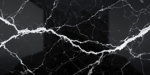 Luxurious Marble Background  Smooth Black Stone with Intricate White Patterns