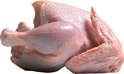 Chicken Meat Isolated On Transparent Background