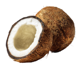 Harvesting fresh yams tropical farm food outdoors isolated on transparent background