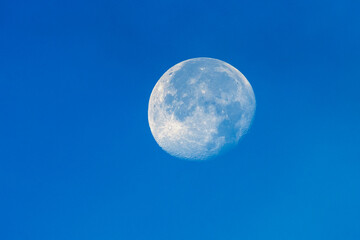 Moon in the blue morning sky close-up