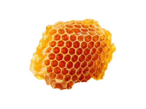Golden honeycomb segment with hexagonal cells filled with amber nectar image