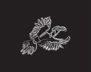 Hornbill bird brush painting illustration. Line art paint brush of Hornbill bird for poster.