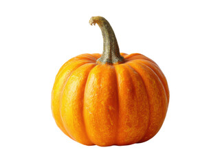 Obraz premium Round orange pumpkin with green stem autumn background